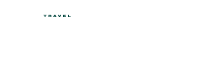 NexusTravelLogoWhite 1